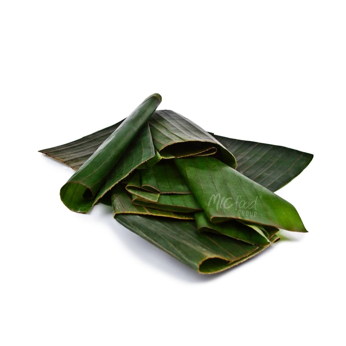 Feuilles de bananier